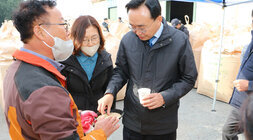 공공비축미 수매현장 (금천면)