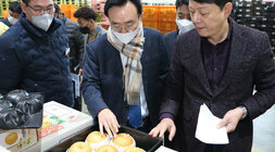 설 명절 배 선과장 방문 포장 배를 살펴보는 나주시장 모습3