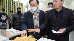 설 명절 배 선과장 방문 포장 배를 살펴보는 나주시장 모습4