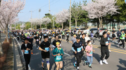 제9회 나주 영산강 마라톤대회 참가자들이 마라톤 코스 위를 달리고 있는 모습 10km코스