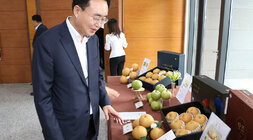 배 건강기능성 학술 심포지엄 나주시장이 심포지엄장 앞에 마련된 배 홍보 매대에서 배를 살펴보고 있는 모습
