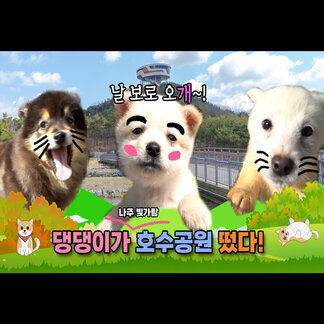 [반려동물과 함께하는 희망 동행 캠페인]