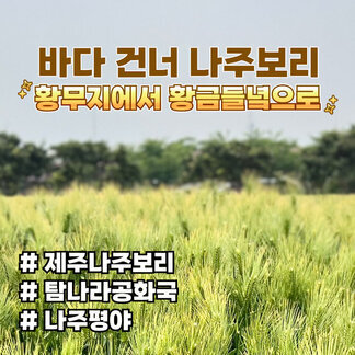 바다 건너 나주보리