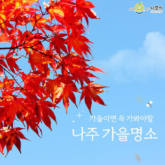 가을이면 꼭 가봐야할 나주가을명소!