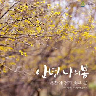 봄꽃찾아 걷기 좋은 길 말해 뭐해요~:) 