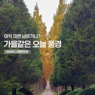 나주시, 아직 미련 남은거니? 가을같은 오늘 풍경, 전라남도 산림연구원