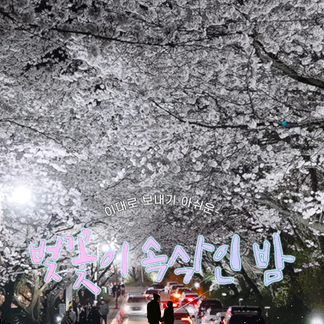 한수제, 벚꽃이 속삭인 밤 이대로 보내긴 아쉬운 벚꽃 엔딩