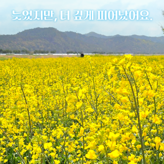 늦었지만, 더 깊게 피어났어요.