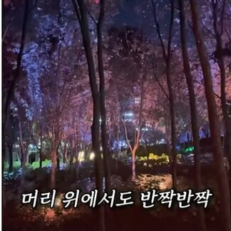 빛가람 빛정원페스타 – 머리 위에서도 반짝반짝