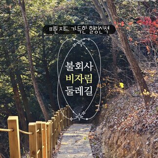 피톤치드 가득한 힐링산책, 불회사 비자림 둘레길