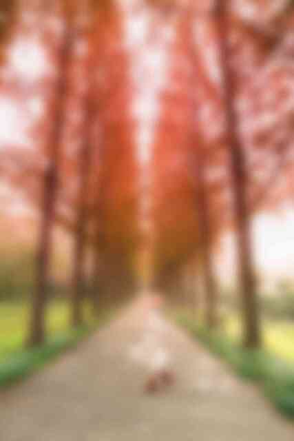 산림자원연구소