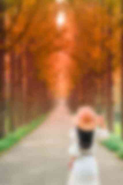 산림자원연구소