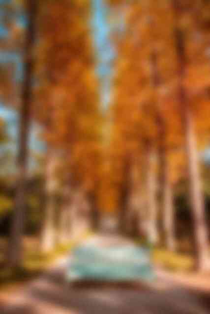 산림자원연구소