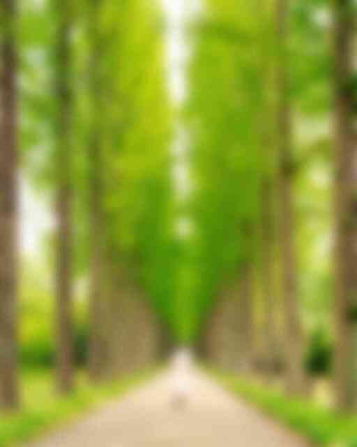 산림자원연구소