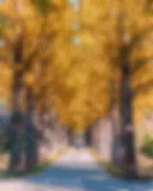 산림자원연구소