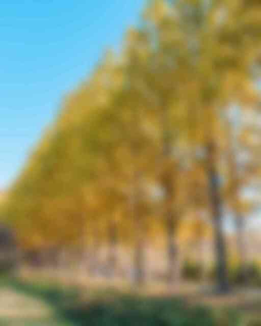 산림자원연구소