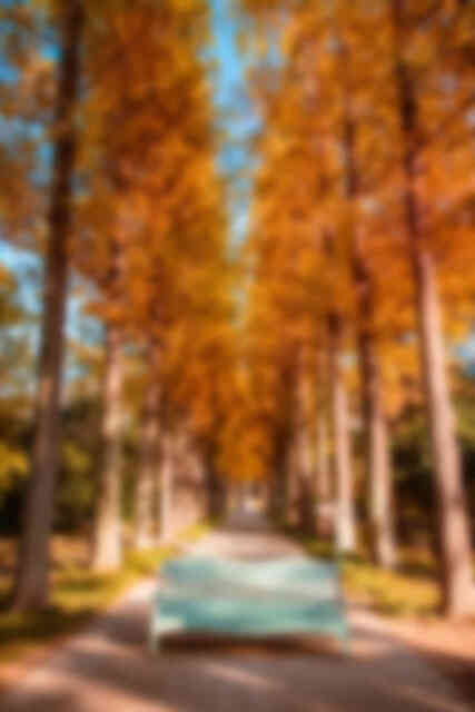 산림자원연구소