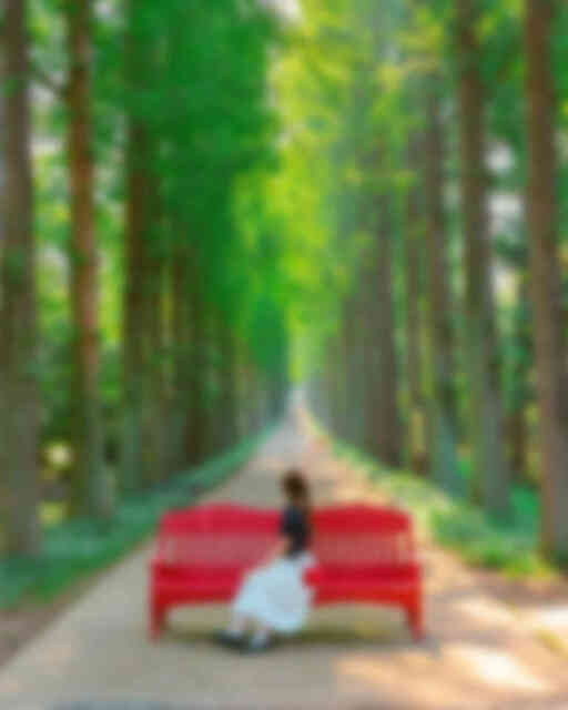 산림자원연구소