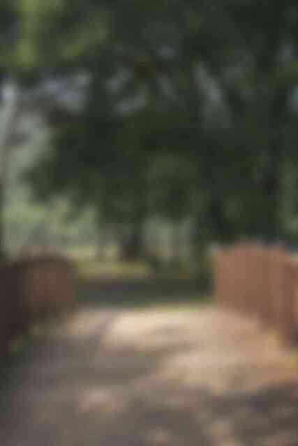 드들강 솔밭유원지