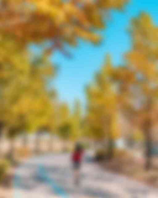 빛가람호수공원과 전망대 빛가람호수공원과 전망대