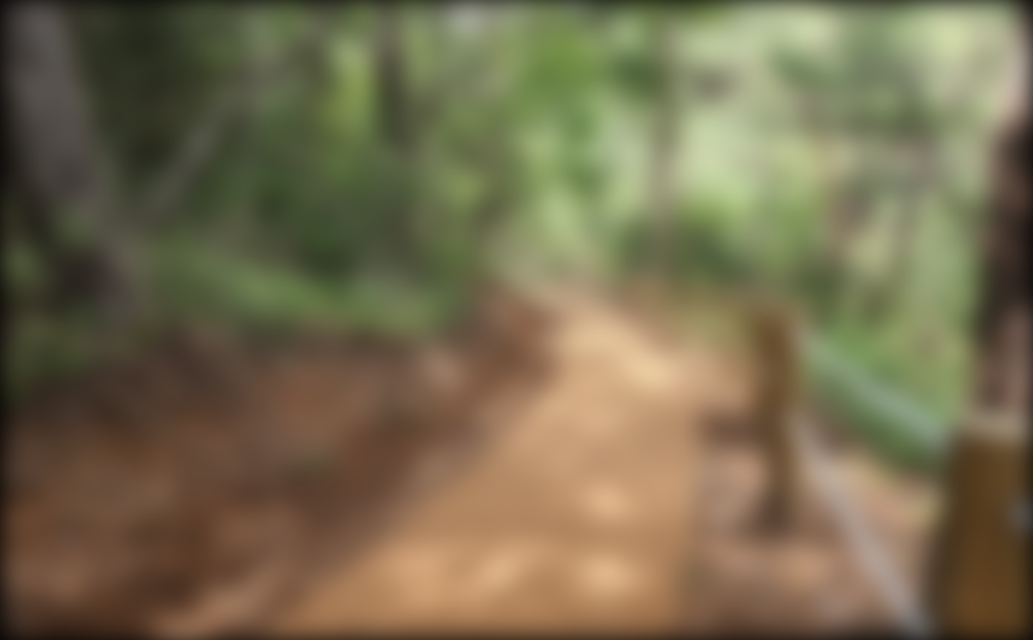 나주호 둘레길을 멀리서 찍은 사진