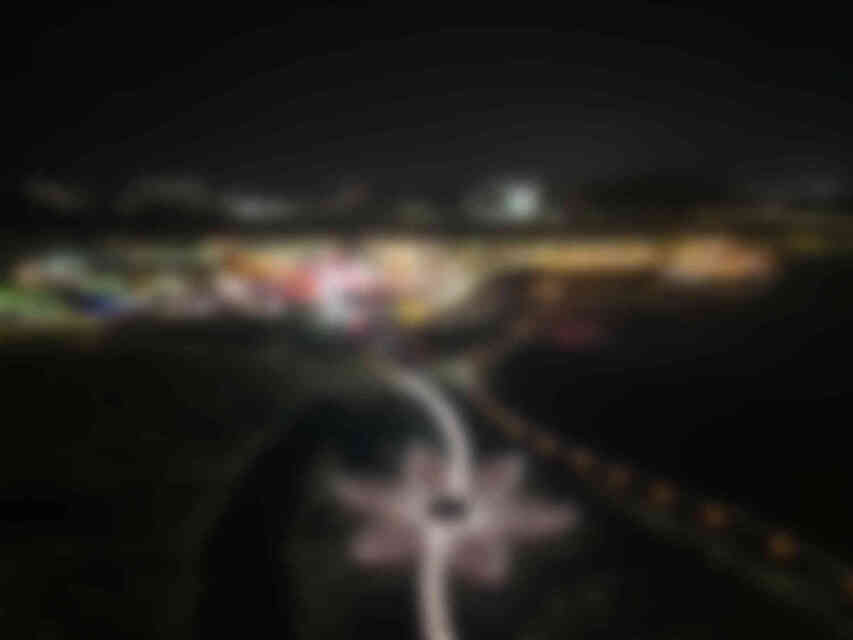 코스모스가 만개한 모습